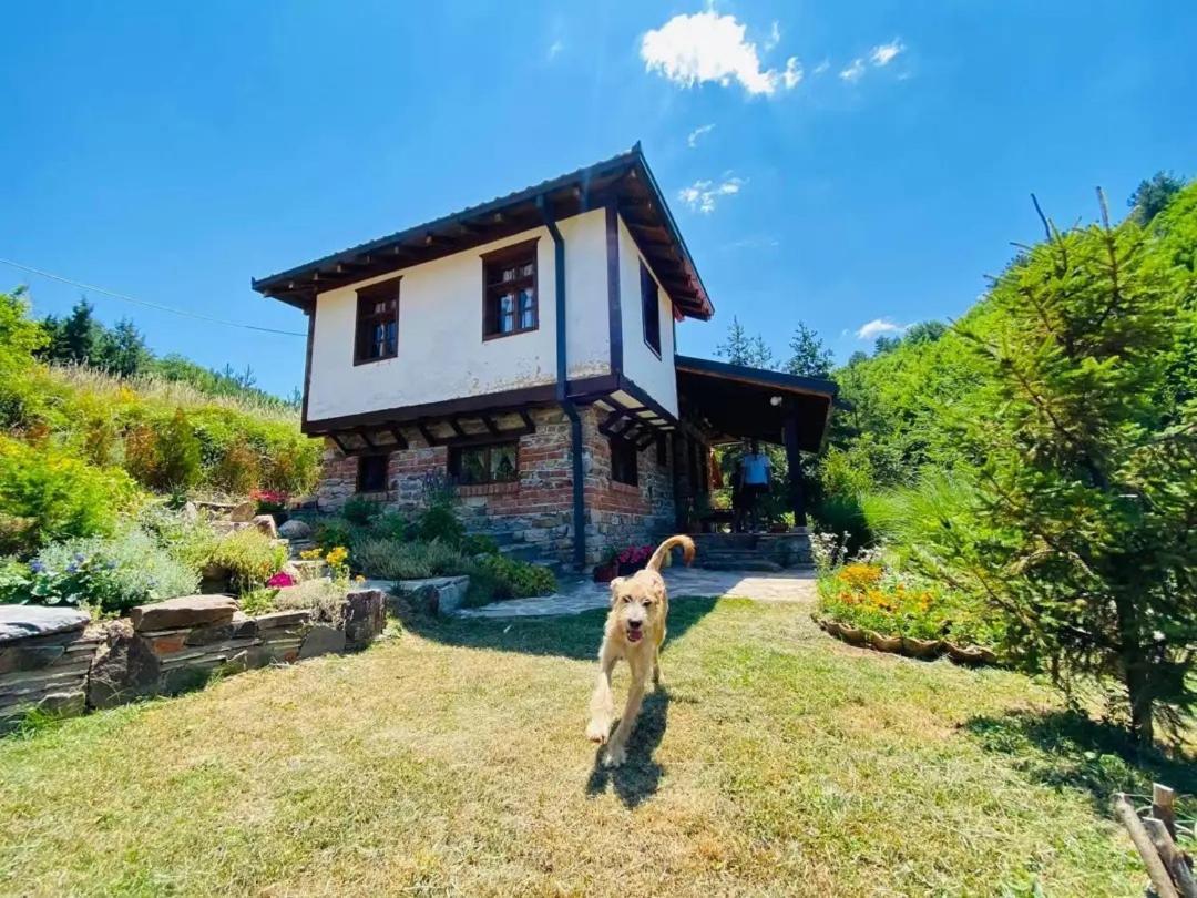 Traditional Cottage - Vila Samovila Delcevo エクステリア 写真