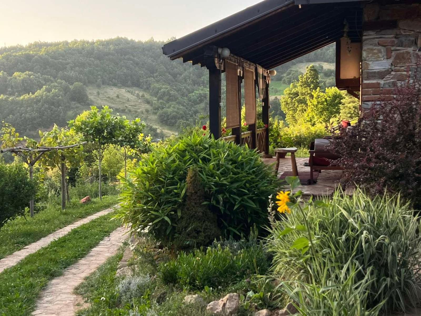 Traditional Cottage - Vila Samovila Delcevo エクステリア 写真