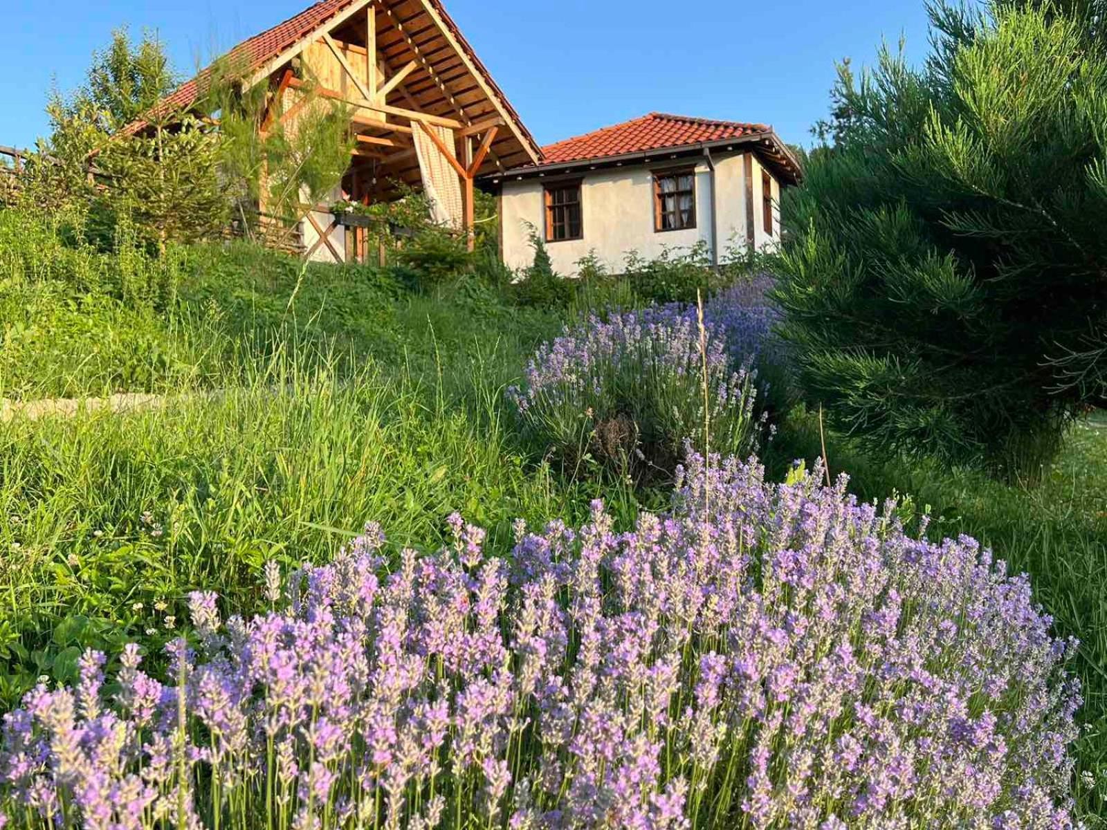 Traditional Cottage - Vila Samovila Delcevo エクステリア 写真