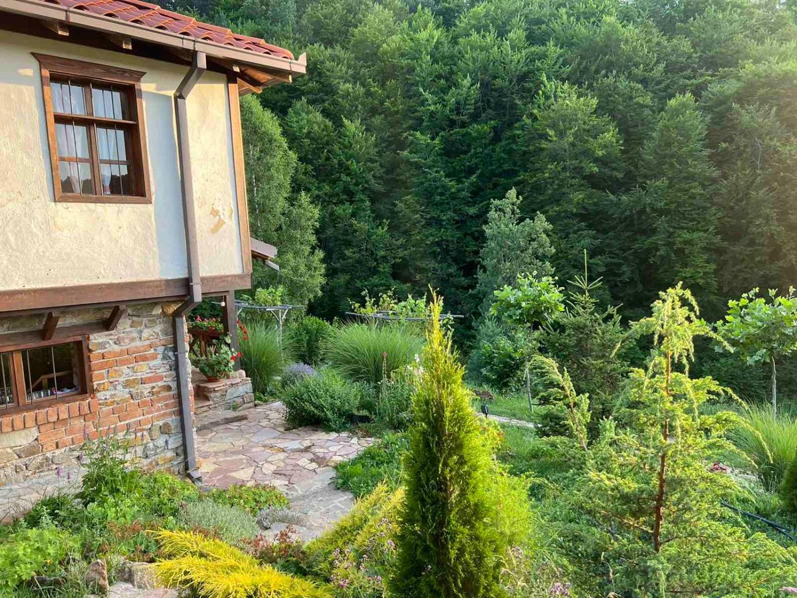 Traditional Cottage - Vila Samovila Delcevo エクステリア 写真