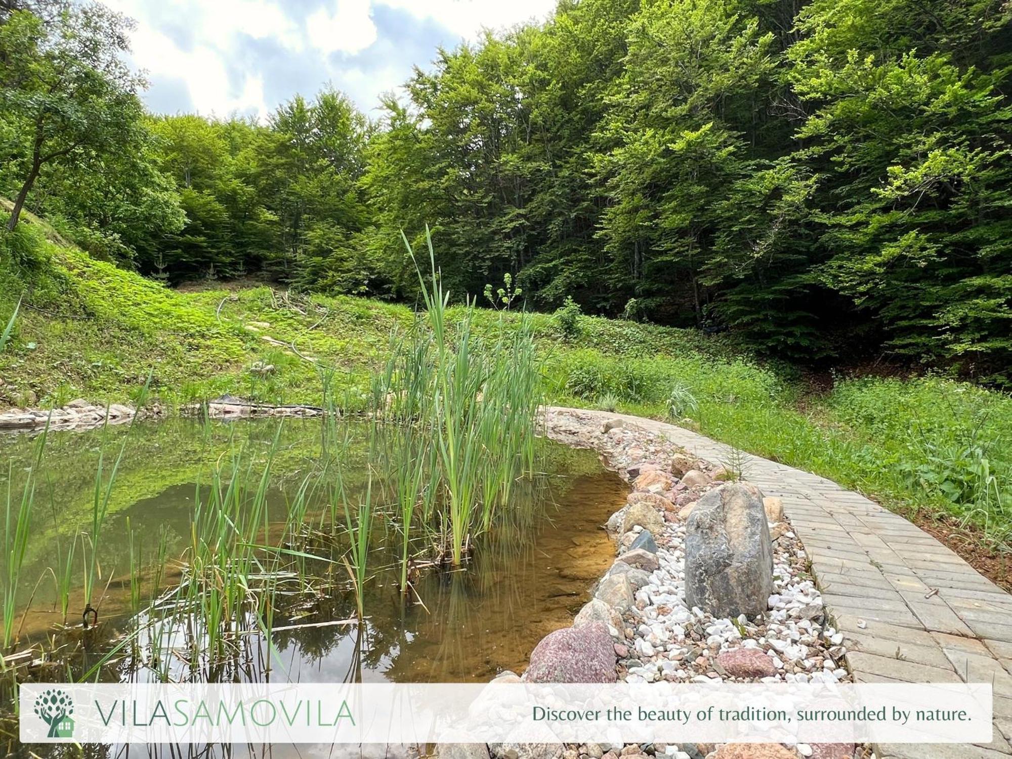 Traditional Cottage - Vila Samovila Delcevo エクステリア 写真